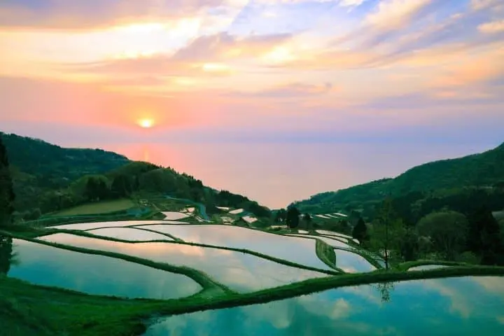 The Gateway to the Sea of Japan! 8 Spots to Experience Niigata City and Sado Island