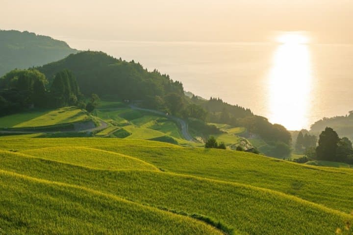 The Gateway to the Sea of Japan! 8 Spots to Experience Niigata City and Sado Island