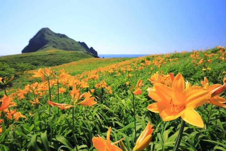The Gateway to the Sea of Japan! 8 Spots to Experience Niigata City and Sado Island
