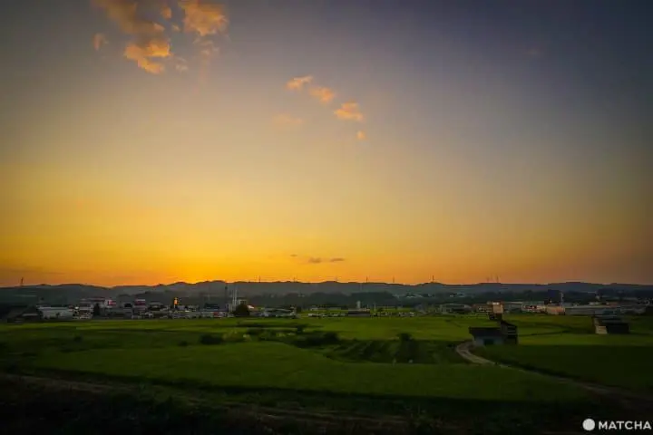 Tsumari Art Field ท่องไปในทุ่งศิลป์ของเมืองโทคามาจิ จังหวัดนีงาตะ