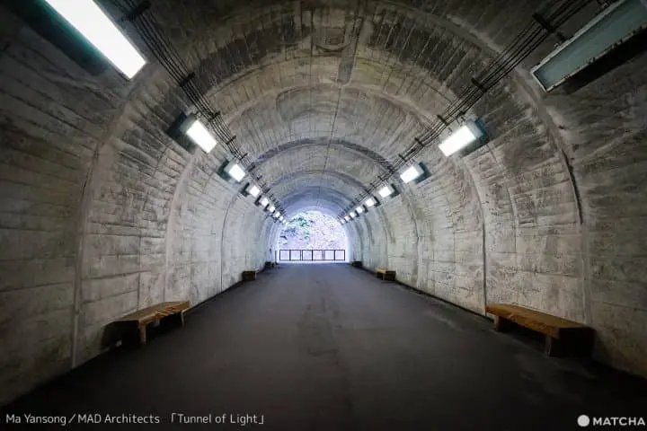 Tsumari Art Field ท่องไปในทุ่งศิลป์ของเมืองโทคามาจิ จังหวัดนีงาตะ