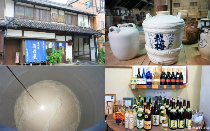 Breathtaking Scenery, Stone Buddhas, And Seafood! Southern Oita Travel Tips