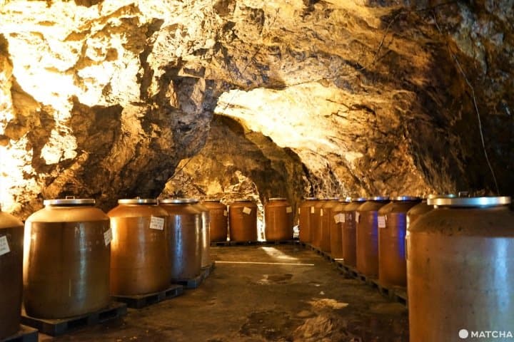 Breathtaking Scenery, Stone Buddhas, And Seafood! Southern Oita Travel Tips
