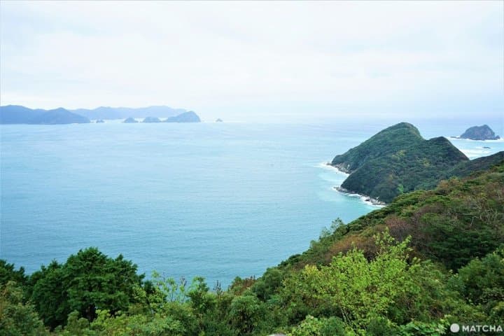 Breathtaking Scenery, Stone Buddhas, And Seafood! Southern Oita Travel Tips