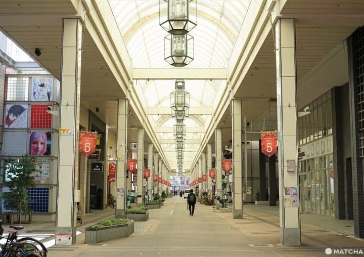 The Gateway to the Sea of Japan! 10 Spots to Experience Niigata City and Sado Island
