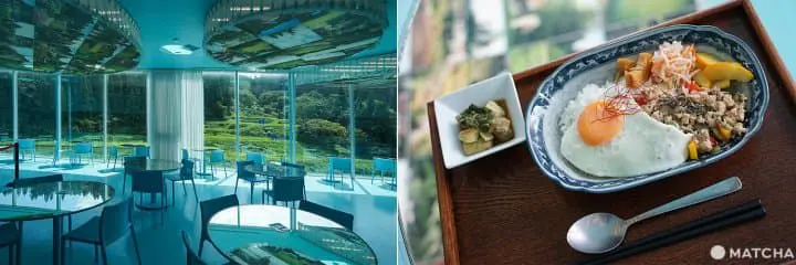 เที่ยว 4 เมือง 4 สไตล์ในนีงาตะ (Niigata)