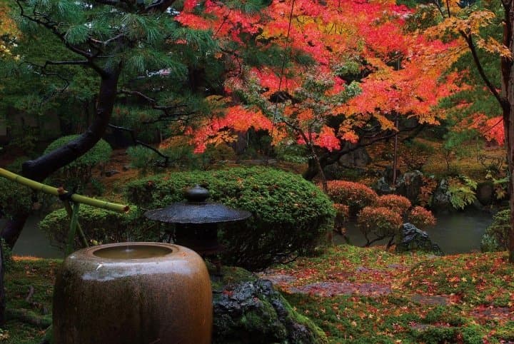 The Gateway to the Sea of Japan! 10 Spots to Experience Niigata City and Sado Island