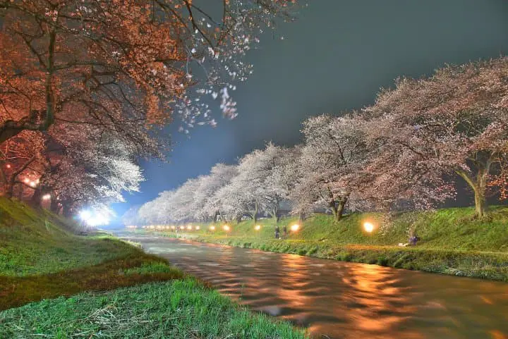 朝日町春の四重奏 夜桜
