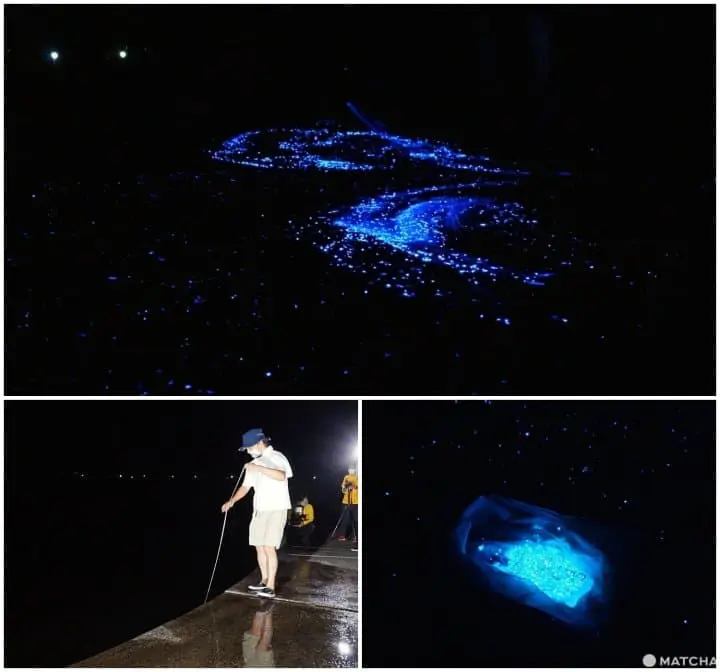 ขอ 2 วันไปเที่ยวเกาะขุมทรัพย์ท่านโชกุน! เกาะซาโดะ (Sado) ในนีงาตะ (Niigata)