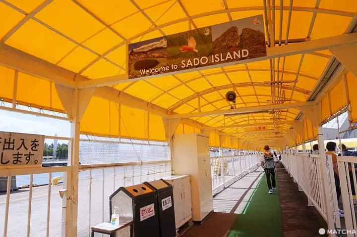 Niigata's Sado Island: A Treasure-Filled 1 Night-2 Day Travel Itinerary!