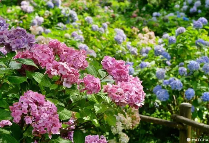 舞鶴自然文化園