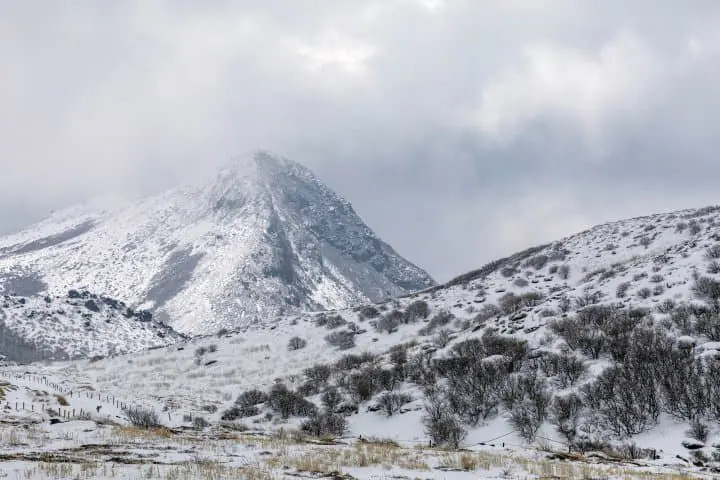 大分 九重夢溫泉