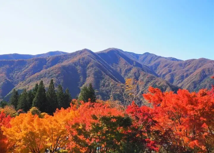 Day Trip To Chichibu: Ancient Shrines, Outdoor Adventure, And Hot Springs