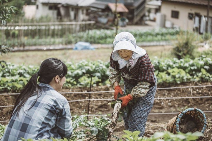 NIPPONIA Kosuge Village เมื่อทั้งหมู่บ้านกลายมาเป็นโรงแรม