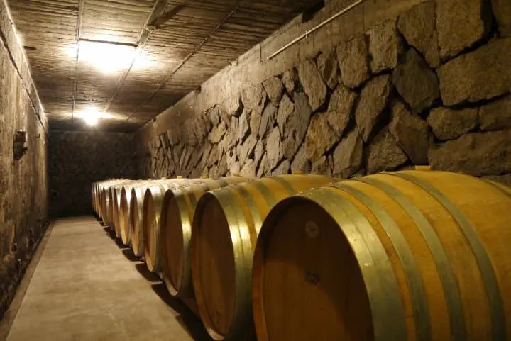 Visit Fuefuki In Fall To Enjoy Delicious Grapes And Wine Tasting