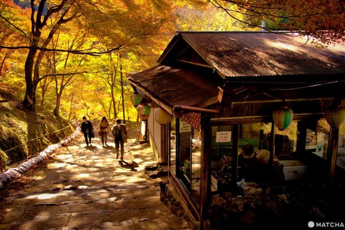 【京都】此高雄非高雄!登高雄山賞楓還要品嚐各種楓葉料理!