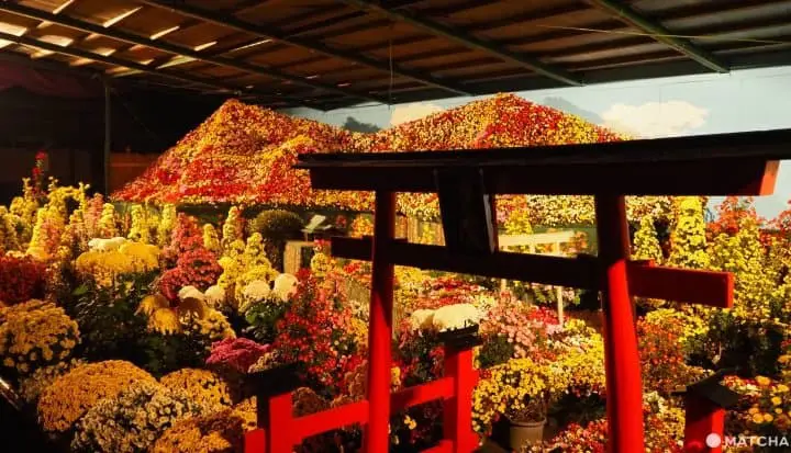 Exploring Yahiko – Niigata’s Most Famous Shrine Town!