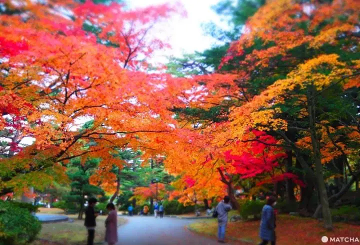 Exploring Yahiko – Niigata’s Most Famous Shrine Town!