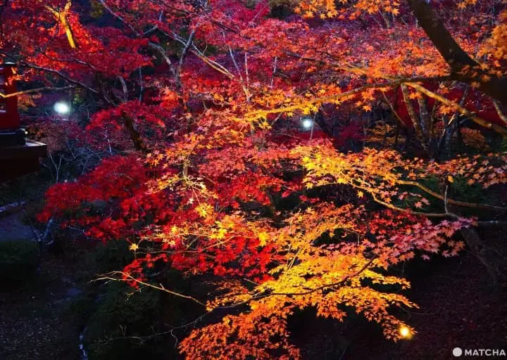 Exploring Yahiko – Niigata’s Most Famous Shrine Town!