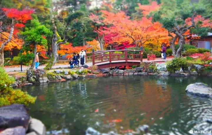 Exploring Yahiko – Niigata’s Most Famous Shrine Town!