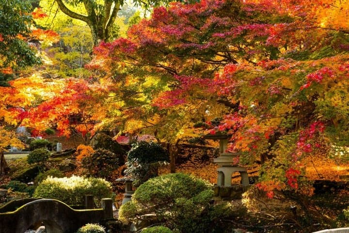 Guide To Budget Bus Trips: Hiroshima, Shimane, And Tottori