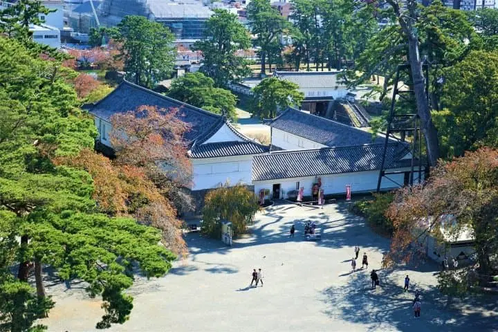 Traditional Crafts, History, and Hot Springs! A Trip to Odawara and Hakone