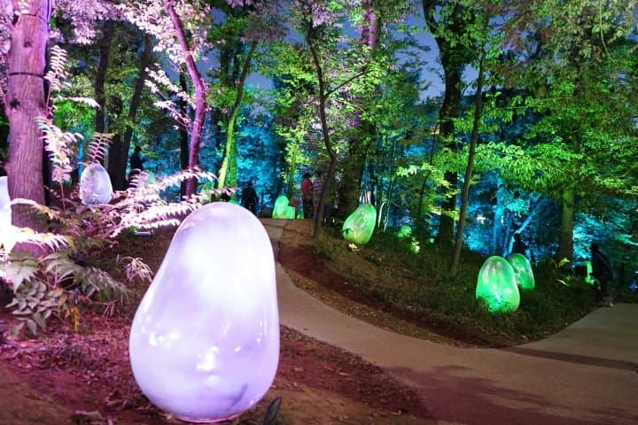 Dreamlike Museums! Tokorozawa
