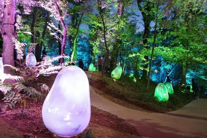 Dreamlike Museums! Tokorozawa