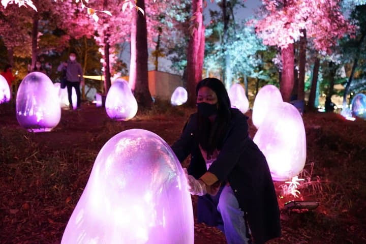Dreamlike Museums! Tokorozawa