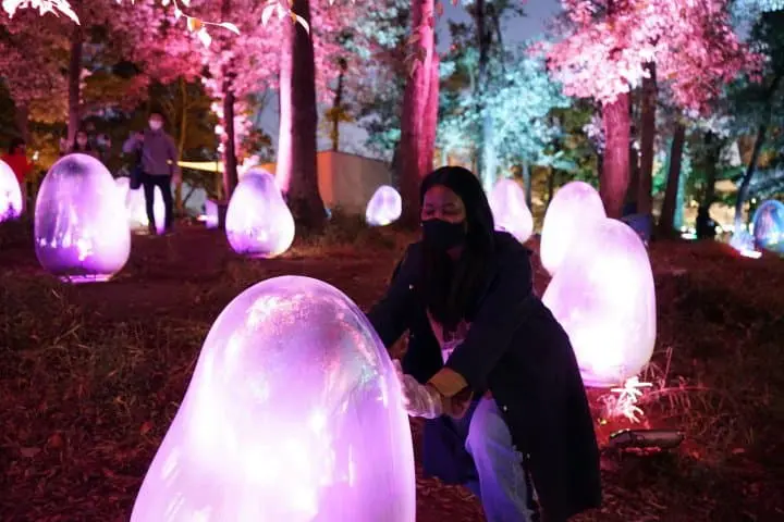 Dreamlike Museums! Tokorozawa