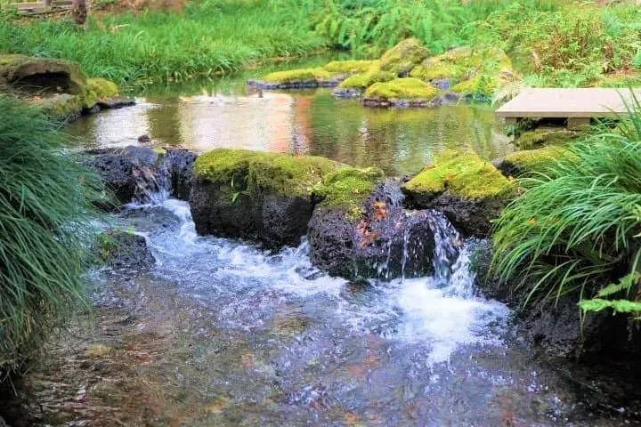 Great Views and Beautiful Shrines! Traveling From Mishima to Hakone