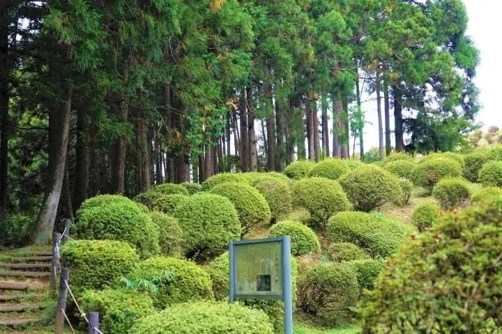 Great Views and Beautiful Shrines! Traveling From Mishima to Hakone