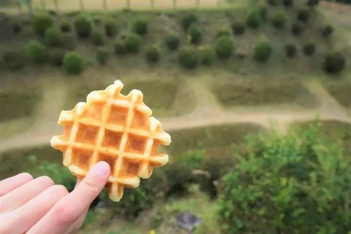 Great Views and Beautiful Shrines! Traveling From Mishima to Hakone