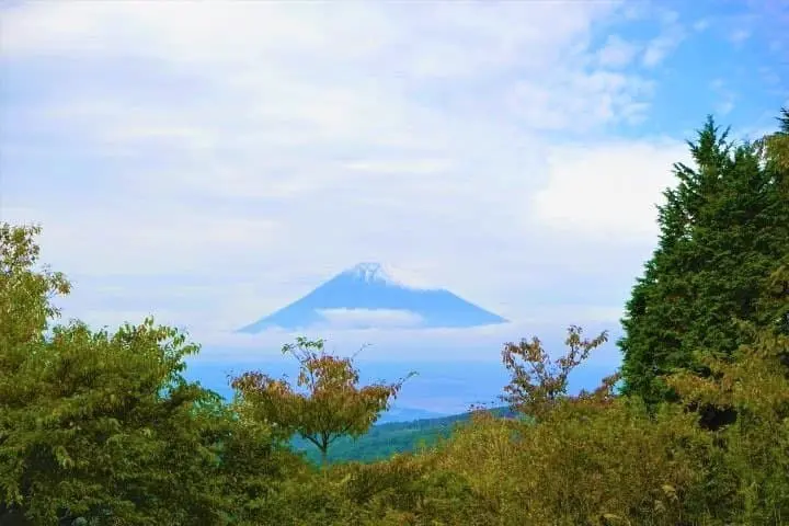 Great Views and Beautiful Shrines! Traveling From Mishima to Hakone