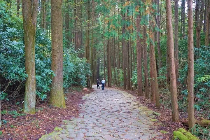 Great Views and Beautiful Shrines! Traveling From Mishima to Hakone