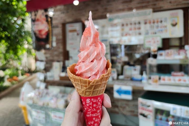 เที่ยวฮามามัตสึ 2 วัน 1 คืนจากโตเกียวและนาโกย่า (Hamamatsu)