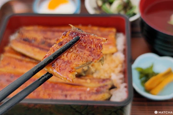 เที่ยวฮามามัตสึ 2 วัน 1 คืนจากโตเกียวและนาโกย่า (Hamamatsu)