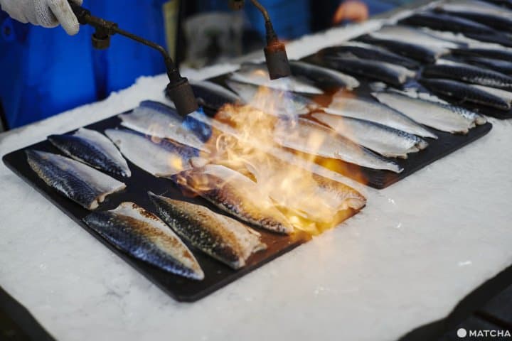 金華サバ