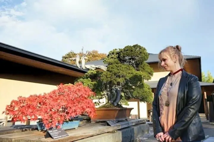 Art Museums in Saitama