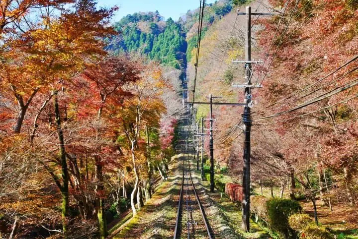 【東京近郊】從新宿出發1小時內即可抵達！微奢華高尾山美景美食一日遊