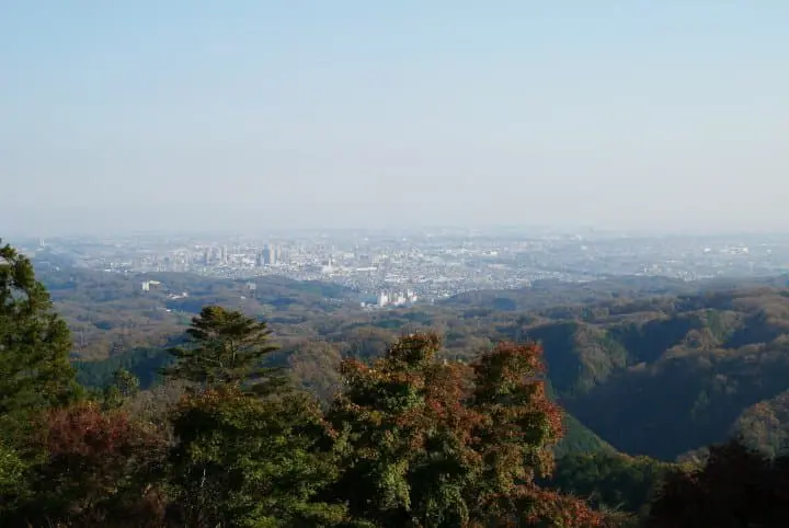 Slightly Luxurious Day Trip to Enjoy Mount Takao's Scenic Views and Cuisine