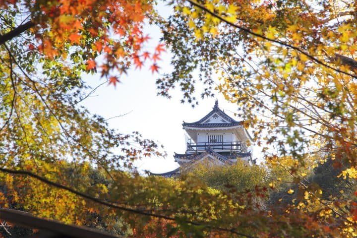เที่ยวฮามามัตสึ 2 วัน 1 คืนจากโตเกียวและนาโกย่า (Hamamatsu)