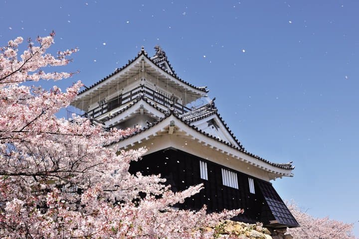 เที่ยวฮามามัตสึ 2 วัน 1 คืนจากโตเกียวและนาโกย่า (Hamamatsu)