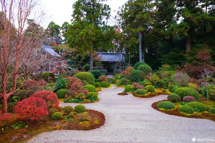 เที่ยวฮามามัตสึ 2 วัน 1 คืนจากโตเกียวและนาโกย่า (Hamamatsu)