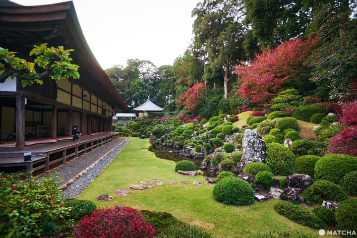 เที่ยวฮามามัตสึ 2 วัน 1 คืนจากโตเกียวและนาโกย่า (Hamamatsu)