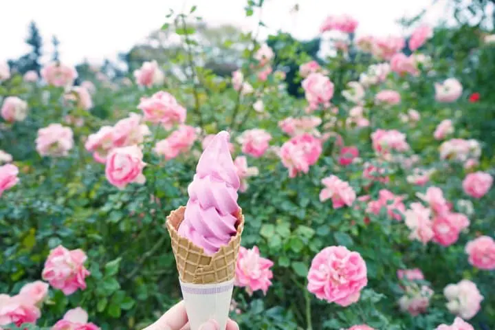 京成玫瑰園