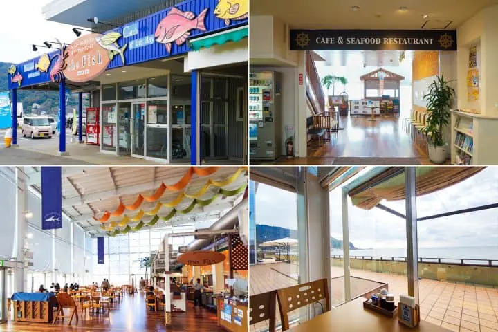 นั่งเรือเฟอร์รี่ ขึ้นเขาไปดูวิวแบบหวาดเสียวที่ผาส่องนรกในจังหวัดชิบะ