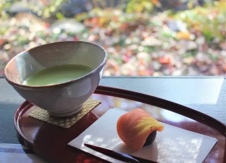 Dreamlike Museums and Exhibitions! A Fun-Filled Day Trip to Tokorozawa