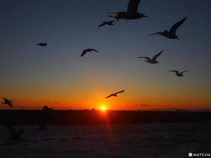 道東3天2夜旅行範推薦行程！