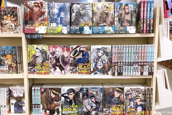 《黃金神威》動漫聖地巡禮在小樽！找尋不死之身杉元佐一的金塊爭奪舞台